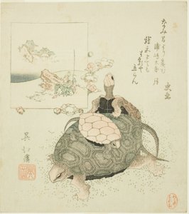 Deniz kaplumbağaları ve Urashima Taro by Totoya Hokkei