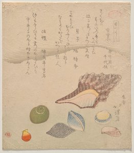 Denizin Kıyısında Yedi Kabuk, Kabuklar Özeti (Kaizukushi) serisinden by Totoya Hokkei