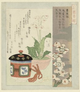 Çiçek içinde Primula ile Natürmort by Totoya Hokkei