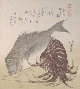 Tai Balığı ve Istakoz, Odawara-cho
