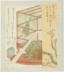 "Hanazono Grubu için A Serisi (Hanazono bantsuzuki)" dizisinden kafeste ötleğen by Totoya Hokkei