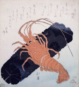 Kömür Bloklu Langoustine, 1830 dolayları (renkli tahta baskı) by Toyota Hokkei