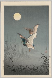 Tokyo Manzarası: Ördekler by Tsuchiya Kōitsu