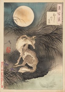 Musashi Ovası Ay by Tsukioka Yoshitoshi