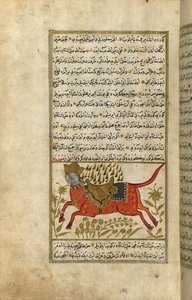 Burak, Peygamber Muhammed