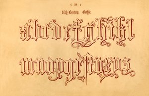 16