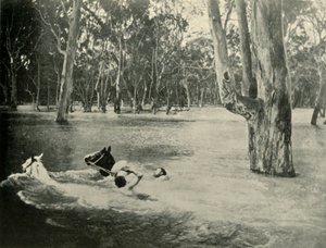 Bir Bankacı, 1901. by Unbekannt