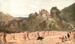 Bir Mısır Tarlası, c1840s, c1900. by Unbekannt