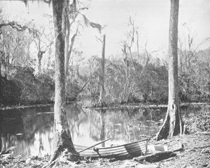 Johns Nehrinin Besleyicisi, Florida, ABD, c1900. by Unbekannt