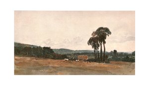 Bir Hasat Sahnesi - Bir Dış Mekan Eskizi, c1900. by Unbekannt