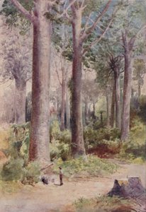 Bir Kauri Ormanı, 1923. by Unbekannt