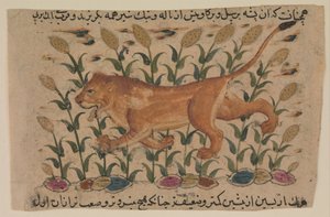 Shahmerdan ibn Abi