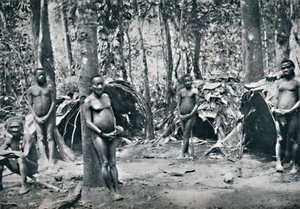 Bir Pigme köyü, Kuzey-Doğu Kongo Havzası, 1912 by Unbekannt