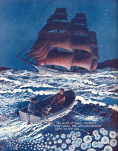Yaşayan Gece Lambalarının Aydınlattığı Deniz, 1935 by Unbekannt