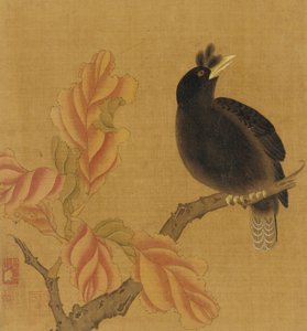 Dalda bir kara kuş, sonbahar yaprakları, Qing hanedanı, 18. yüzyıl. by Unbekannt