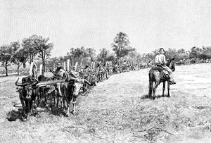 Bir vagon konvoyu, Güney Amerika, 1895 by Unbekannt