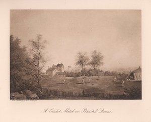 Banstead Downs