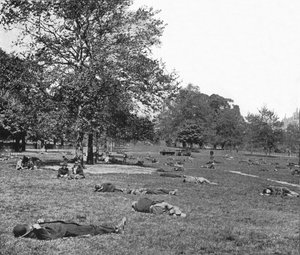 St Jamess Park'ta bir yaz öğleden sonra sahnesi, Londra, c1900 1901 by Unbekannt