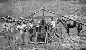 Ahşap, beygir gücüyle çalışan şeker kamışı kırma değirmeni, Batı Hint Adaları, 1922 by Unbekannt