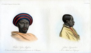 Habeş portreleri, 1848 by Unbekannt