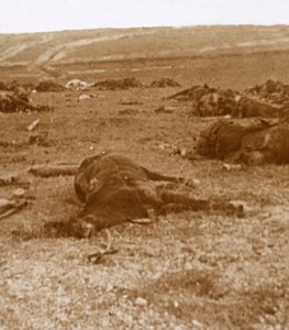 Suçlamadan sonra, Beauséjour, kuzey Fransa, c1914-c1918 by Unbekannt
