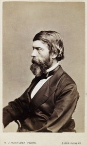 Alexander William Williamson, İskoç kimyager, 1865 dolayları by Unbekannt