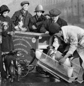 Yoksulların Hasta Hayvanları Dispanserinin Ambulansı, Londra, 1926-1927 by Unbekannt