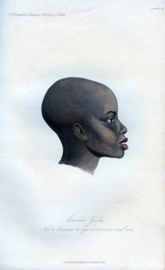 Amochi Galla, bir Galla portresi, 1848 by Unbekannt