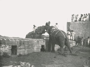 Bir fil dövüşü, Haydarabad, Hindistan, 1895. by Unbekannt