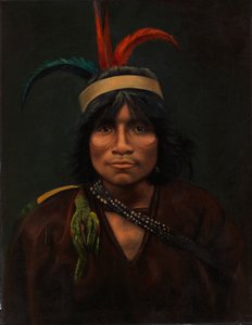 Kardeşimin planı, değil mi? 1890-1892. by Unbekannt