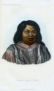 Araucano, Şili Yerlisi, 1848 by Unbekannt