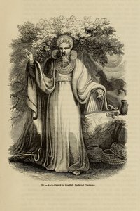 Arch-Druid Adli Kostümüyle Old England: A Picture Museum, 1845 kitabından by Unbekannt
