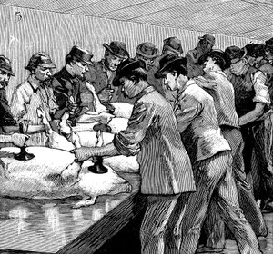 Armor Companys domuz mezbahası, Chicago, Illinois, ABD, 1892 by Unbekannt