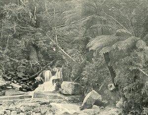 St. Crispins Kuyusunda, 1901. by Unbekannt
