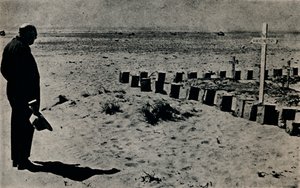 Mısır
