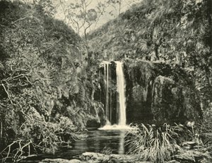 Back Creek Şelaleleri, Buchan Nehri, Victoria, 1901. by Unbekannt