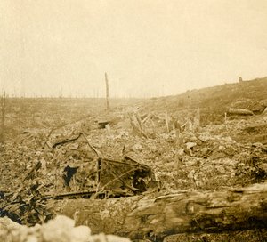 Battlefield, Bezonvaux, Verdun, kuzey Fransa, c1914-c1918 by Unbekannt