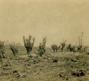 Battlefield, Maurepas, kuzey Fransa, c1914-c1918 by Unbekannt