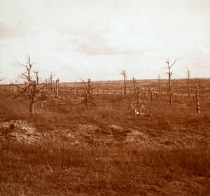 Battlefield, Tahure, kuzey Fransa, c1914-c1918 by Unbekannt
