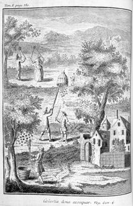 Arıcılık, 1775 by Unbekannt