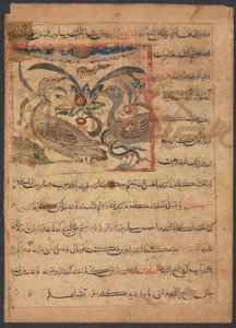 Akbaba Parçalarının Faydaları... tam tersi, 1200