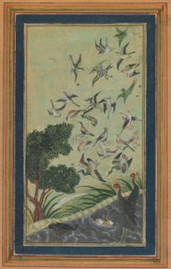 Baran