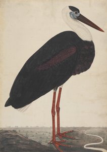 Manzaradaki Kara Leylek, yaklaşık. 1780. by Unbekannt