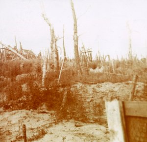 Kumlanmış ahşap, Nieuwpoort, Flanders, Belçika, c1914-c1918 by Unbekannt