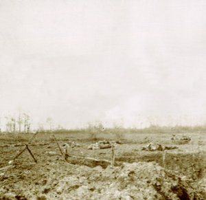Saldırıdan sonraki cesetler, c1914-c1918 by Unbekannt