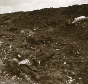 Gövde, Somme, kuzey Fransa, c1916-c1918 by Unbekannt