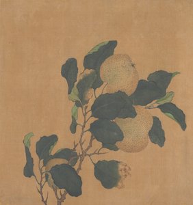 Meyve ile Ağacın Dalı. by Unbekannt