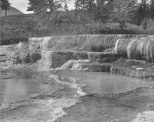 Brown Sulphur Springs, Yellowstone Ulusal Parkı, ABD, c1900. by Unbekannt