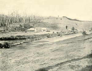 Bush Workmans Evi, Gippsland, Victoria, 1901. by Unbekannt