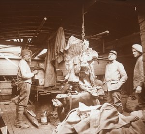 Bir mavnadaki kasaplar, Somme, kuzey Fransa, c1914-c1918 by Unbekannt
